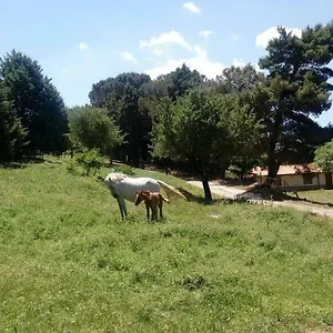  Alloggio per agriturismo Bosco Pianetti